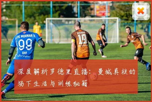 深度解析罗德里直播:曼城真核的场下生活与训练秘籍